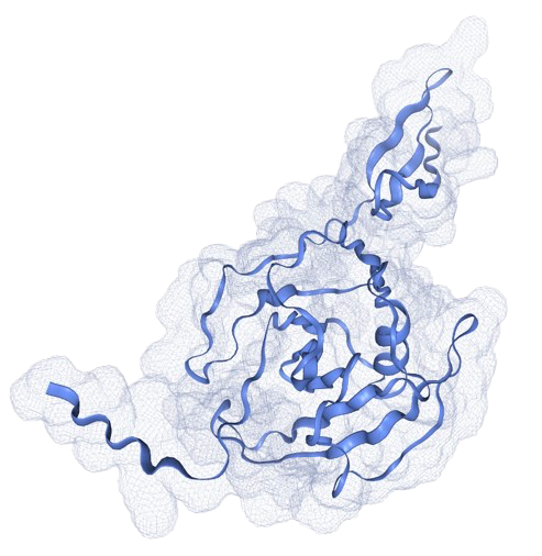 SRO: Subspace Relaxation Operator for Protein Structure Prediction